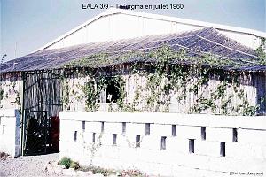 199- ARMEE DE L'AIR EN ALGERIE 1945-1962-47 (68)